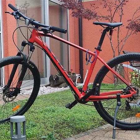 Apartmani Spoljar Zupanja Zewnętrze zdjęcie