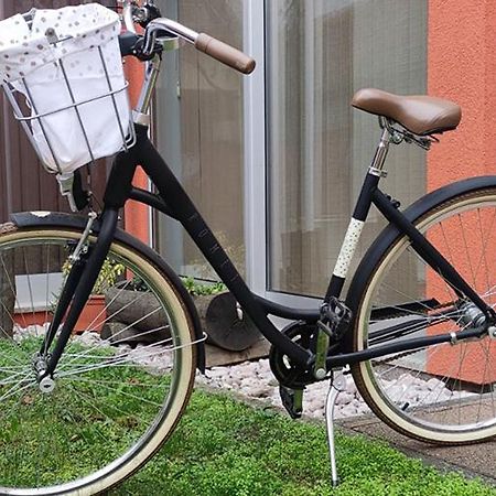 Apartmani Spoljar Zupanja Zewnętrze zdjęcie