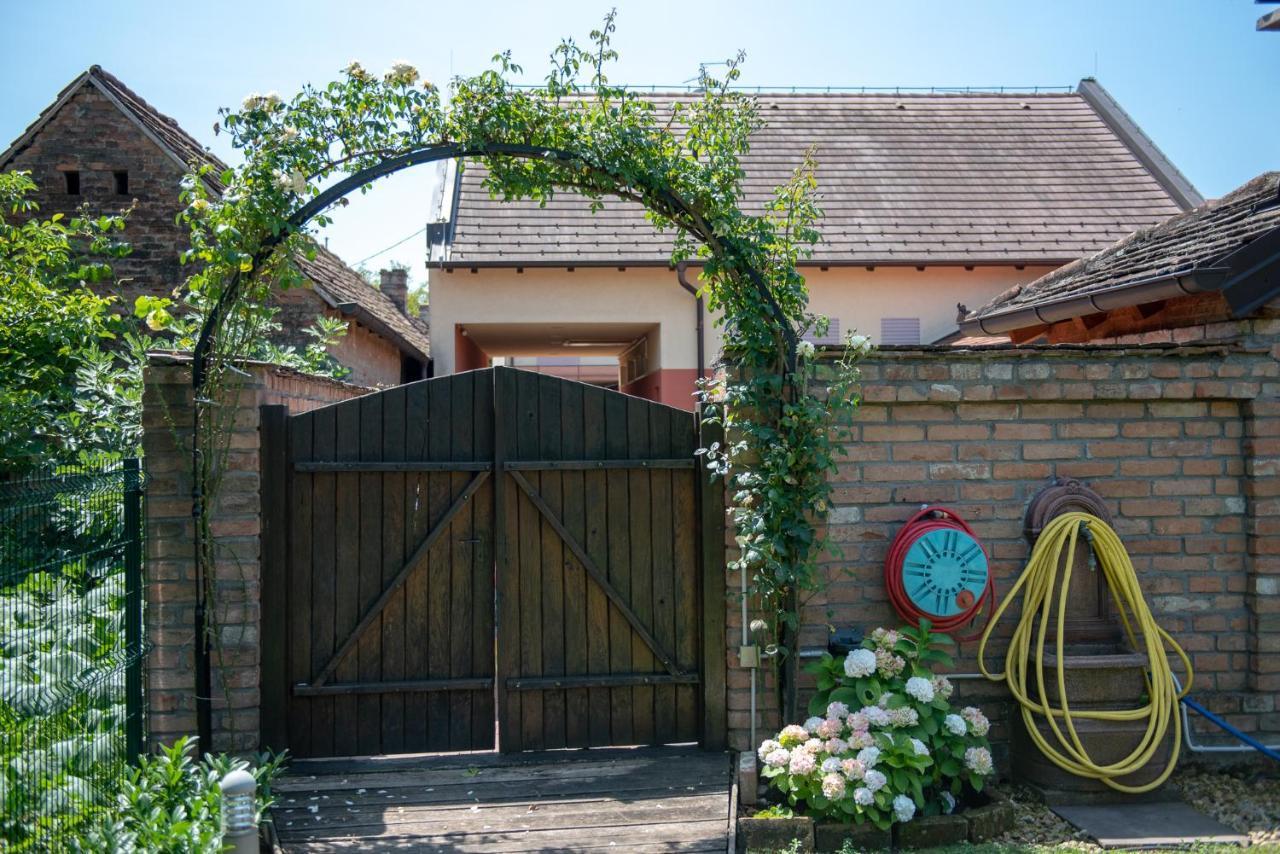 Apartmani Spoljar Zupanja Zewnętrze zdjęcie